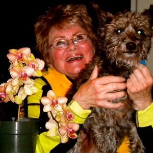 Meet your Posher, Marji